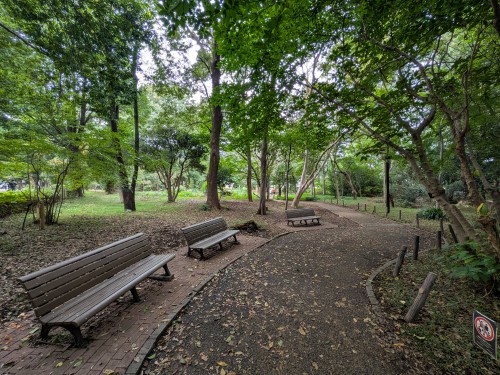 品川区 林試の森公園 ～大きな木々と豊かな緑に包まれ、池や広場を巡りながら四季の自然を楽しめる都会の森～