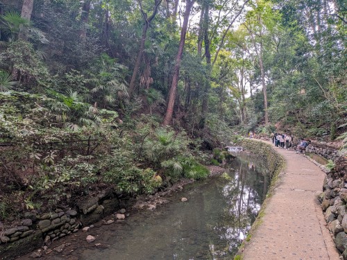 世田谷区 等々力渓谷公園 ～都会の喧騒を忘れる緑と水の癒やし空間。歴史と自然が息づく世田谷・等々力渓谷公園～