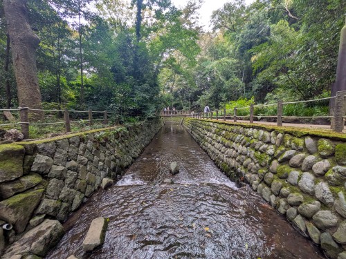 世田谷区 等々力渓谷公園 ～都会の喧騒を忘れる緑と水の癒やし空間。歴史と自然が息づく世田谷・等々力渓谷公園～