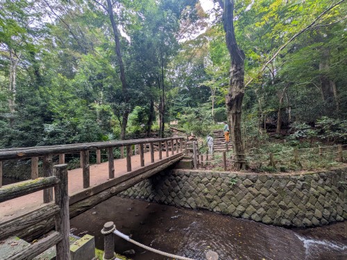 世田谷区 等々力渓谷公園 ～都会の喧騒を忘れる緑と水の癒やし空間。歴史と自然が息づく世田谷・等々力渓谷公園～