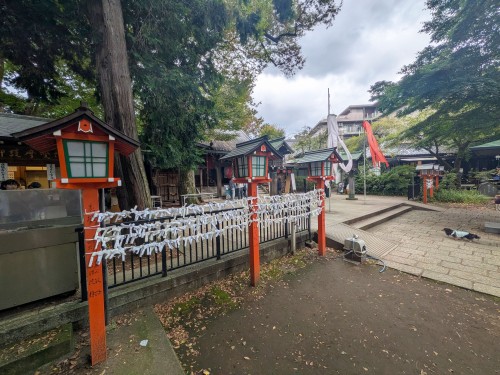 WALK-TRIPS ～ 歩き旅と写真