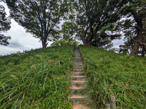 世田谷区 玉川野毛町公園 ～緑豊かな芝生広場と歴史ある古墳が魅力。自然の中でゆったり過ごせる憩いの公園～