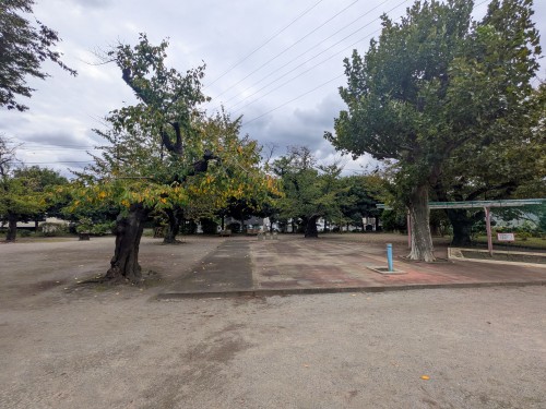世田谷区 玉川野毛町公園 ～緑豊かな芝生広場と歴史ある古墳が魅力。自然の中でゆったり過ごせる憩いの公園～